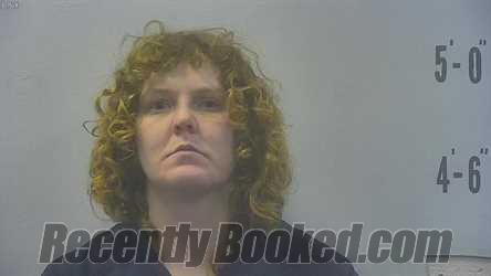 Booking photo from Pulaski County, Indiana