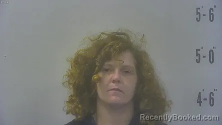 Mugshot of Desiree Kathleen Graves booked in Pulaski County, Indiana on September 3, 2026