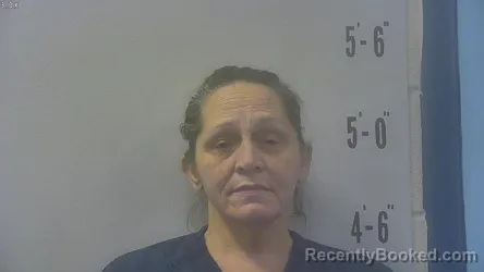 Mugshot of Dedra Denise Michael booked in Pulaski County, Indiana on October 19, 2026
