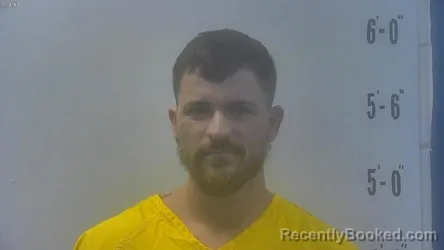 Booking photo from Pulaski County, Indiana