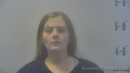 Mugshot of EMILY ANNE KONRAD-CLEMONS booked in Pulaski County, Indiana on April 20, 2026