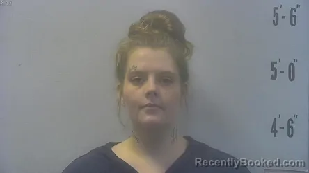 Mugshot of EMILY ANNE KONRAD-CLEMONS booked in Pulaski County, Indiana on June 22, 2026
