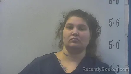 Mugshot of HEATHER LEANN DEVRIES