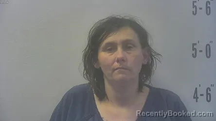 Mugshot of KATRINA LYNN HUGHES booked in Pulaski County, Indiana on May 16, 2026
