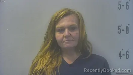 Mugshot of KIMBERLY SUE MILLER booked in Pulaski County, Indiana on July 1, 2026