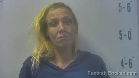 Mugshot of LISA LYNN CLEMONS booked in Pulaski County, Indiana on July 26, 2026