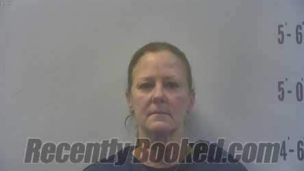 Booking photo from Pulaski County, Indiana