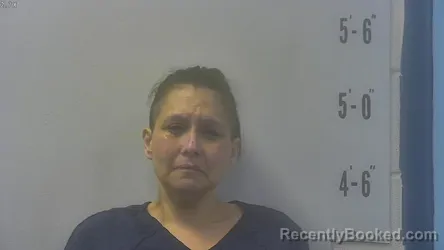 Mugshot of MELISSA HAWKINS booked in Pulaski County, Indiana on July 31, 2026