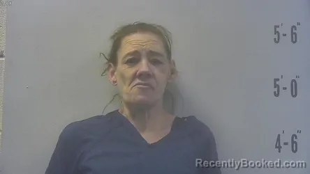 Mugshot of MARY ANN INGERSOLL