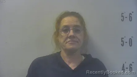 Mugshot of MARY ANN INGERSOLL booked in Pulaski County, Indiana on June 26, 2026