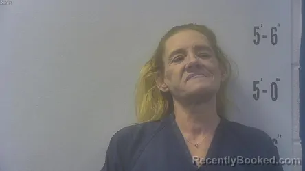 Mugshot of Mary Ann Ingersoll booked in Pulaski County, Indiana on August 18, 2026