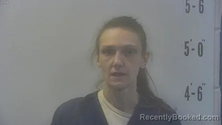 Mugshot of PATRICIA MARIE HIPP booked in Pulaski County, Indiana on April 23, 2026