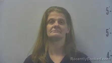 Booking photo from Pulaski County, Indiana