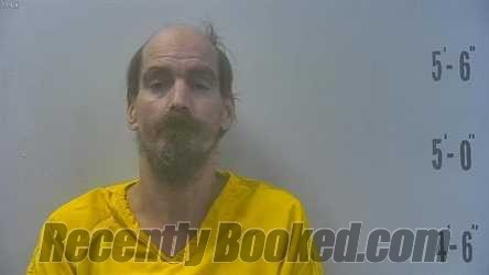 Booking photo from Pulaski County, Indiana