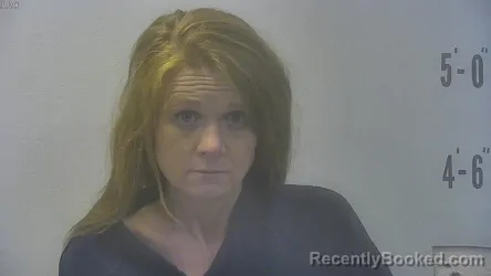 Mugshot of SHANNON MARIE FOWLER booked in Pulaski County, Indiana on July 26, 2026