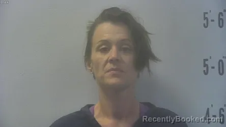 Mugshot of SARA ELAINE INGRAM booked in Pulaski County, Indiana on August 4, 2026