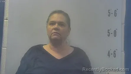 Mugshot of SHERRY LYNN SCHULTZ booked in Pulaski County, Indiana on April 13, 2026