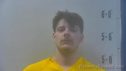 Mugshot of TRAVIS W BLANKENSHIP