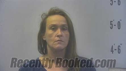 Booking photo from Pulaski County, Indiana