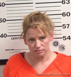 Mugshot of MICA LYNN WILKEY booked in Jackson County, North Carolina on March 20, 2026