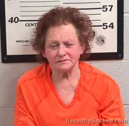 Mugshot of JULIE ROMERO BUMP