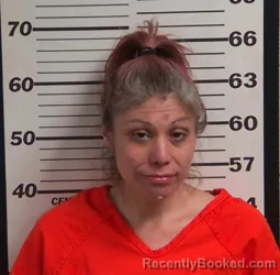 Mugshot of AYENA JANE FRENCH booked in Jackson County, North Carolina on April 22, 2026