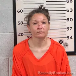 Mugshot of Mary Dalena Smith booked in Jackson County, North Carolina on September 3, 2026