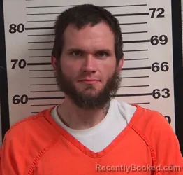 Mugshot of JOHN MCKINLEY DAVIS