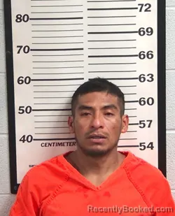 Mugshot of ISAIAS VARGAS RODRIGUEZ booked in Jackson County, North Carolina on June 7, 2026