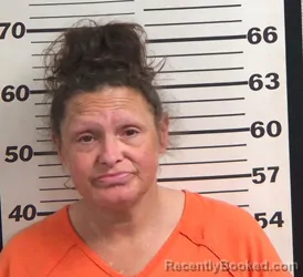 Mugshot of KIMBERLY DAWN WEBB booked in Jackson County, North Carolina on April 4, 2026