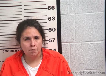 Mugshot of JUSTINA MEREDITH BIGWITCH booked in Jackson County, North Carolina on April 3, 2026