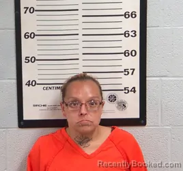 Mugshot of Tonya Lynn Maney booked in Jackson County, North Carolina on August 18, 2026