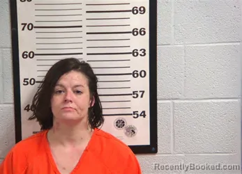 Mugshot of HEATHER NICOLE STEELE booked in Jackson County, North Carolina on June 11, 2026