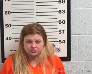Mugshot of AMANDA LEE MEZYK