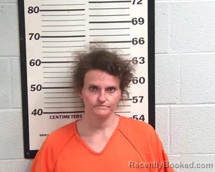 Mugshot of BRANDI DANIELLE NATIONS booked in Jackson County, North Carolina on July 7, 2026