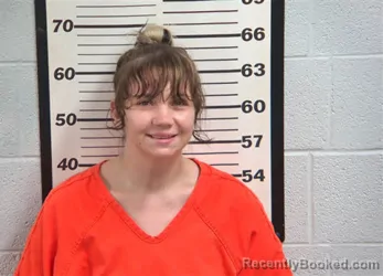 Mugshot of Amber Leigh Bird booked in Jackson County, North Carolina on September 2, 2026