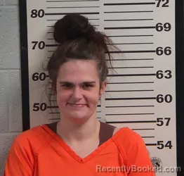 Mugshot of STACEY CAMERON HOYLE LOWE