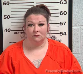 Mugshot of SIERRA SALONE JENKINS booked in Jackson County, North Carolina on May 4, 2026