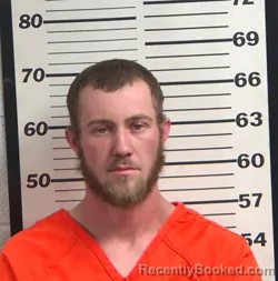 Mugshot of COLLIN COLEMAN ORR booked in Jackson County, North Carolina on March 27, 2026