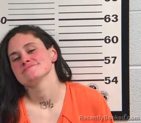 Mugshot of NICOLE JEANETTE GIBSON booked in Jackson County, North Carolina on May 5, 2026