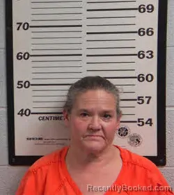Mugshot of DORA CARRION ALVARADO