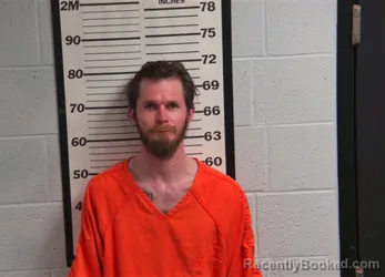 Mugshot of WESLEY ADAM FISH
