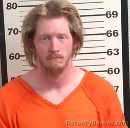 Mugshot of TANNER LEE WILLIAMSON booked in Jackson County, North Carolina on March 20, 2026