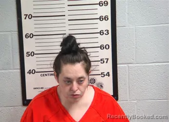 Mugshot of BRITTANY LANE SHELTON booked in Jackson County, North Carolina on March 27, 2026