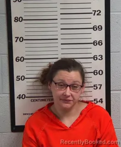 Mugshot of MICHELLE LEE ANN BRYSON