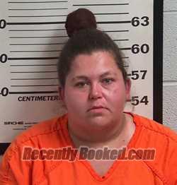 Booking photo from Jackson County, North Carolina