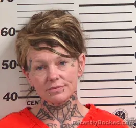 Mugshot of AMBER IRENE MCKINNEY booked in Jackson County, North Carolina on April 17, 2026