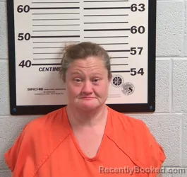 Mugshot of APRIL LEE BRYSON