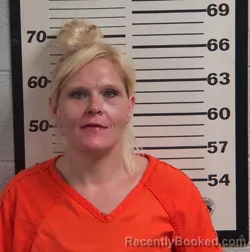 Mugshot of JESSICA ANNE BROWN booked in Jackson County, North Carolina on April 27, 2026