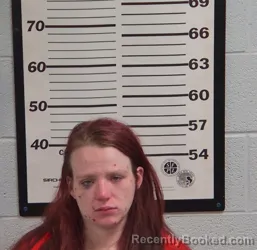 Mugshot of HANNAH MARIE REECE booked in Jackson County, North Carolina on July 12, 2026